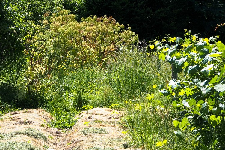 La ferme des Simples