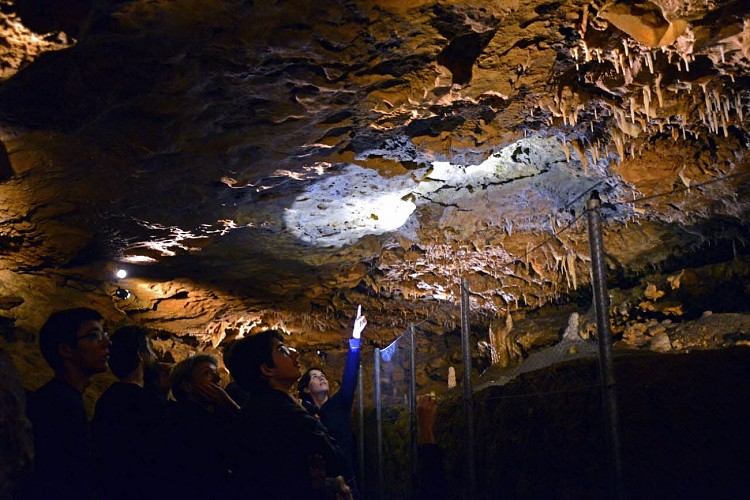 interieur_guide_visite