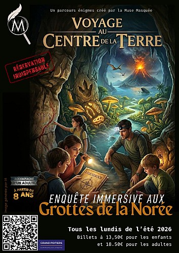 Voyage au centre de la terre Jules Verne - 1