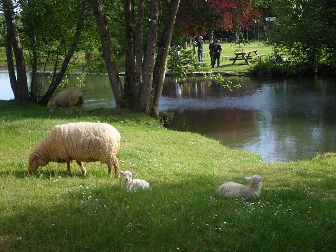 Camping Le Rivage Civraisien