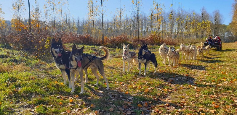 Cani Kart Latitude Nordique 37120 Braslou @BlanchinDavid 31122026