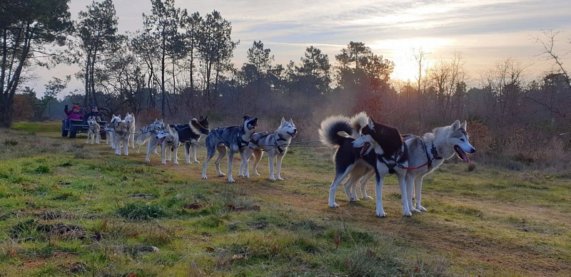 Cani kart 2 Latitude Nordique 37120 Braslou @Blanchin David 31122026