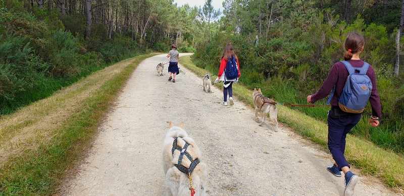 Cani rando 2 Latitude Nordique 37120 Braslou @Blanchin David 31122026