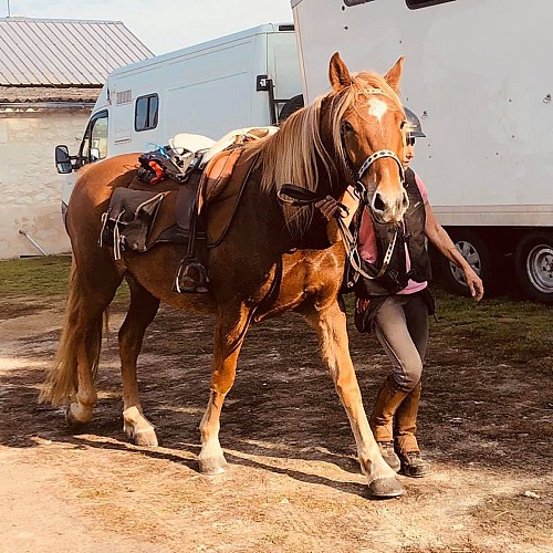 18_les loustiks du vivier 1