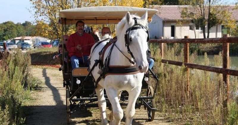 Equitation et balade à poney à DéfiPlanet'