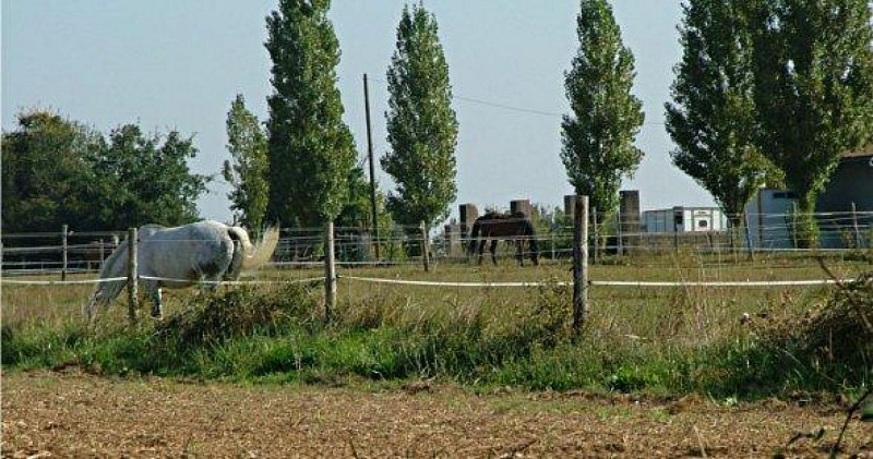 Centre équestre de la Gouraudière