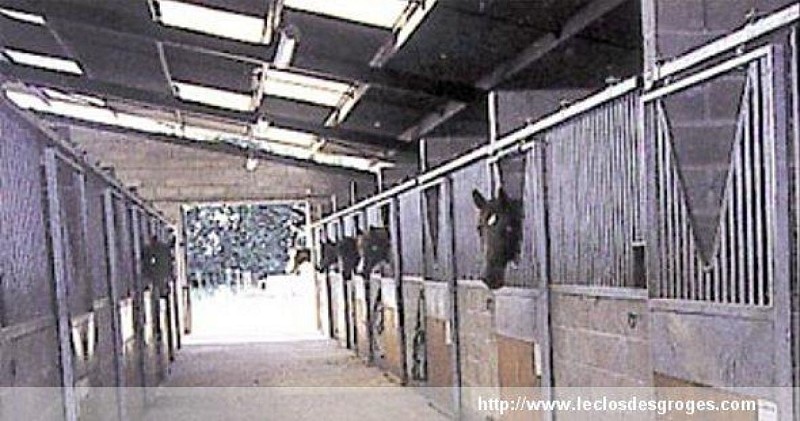 Centre équestre le Clos des Groges