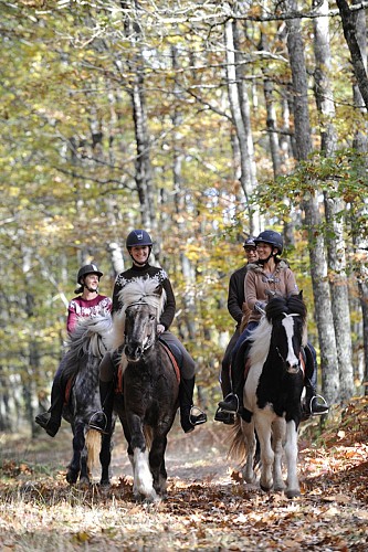 Club Hippique et Poney-Club de la Forêt de Moulière_3