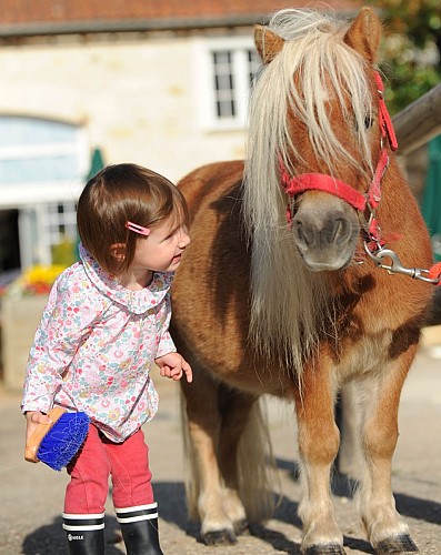 Club Hippique et Poney-Club de la Forêt de Moulière_4