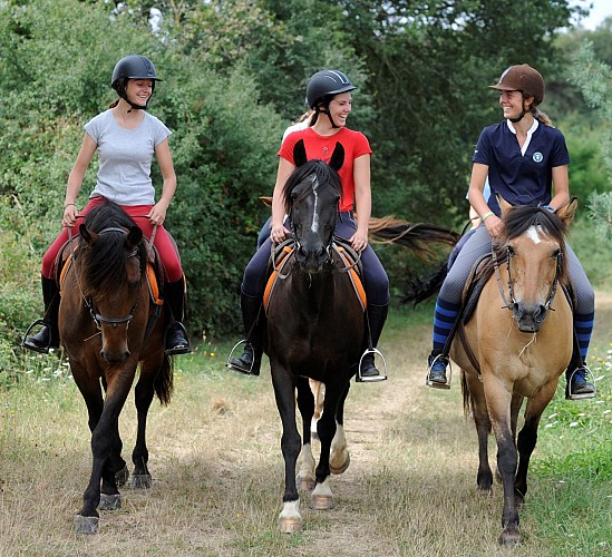 Club Hippique et Poney-Club de la Forêt de Moulière