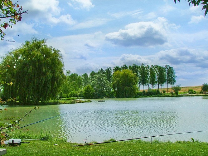 Etang de pêche de Guesnes
