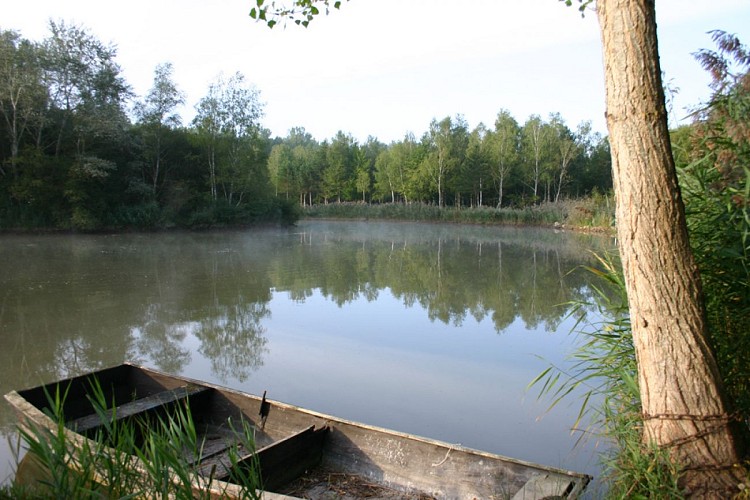 Etang de pêche de Guesnes