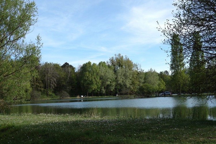 Etang de pêche de Guesnes