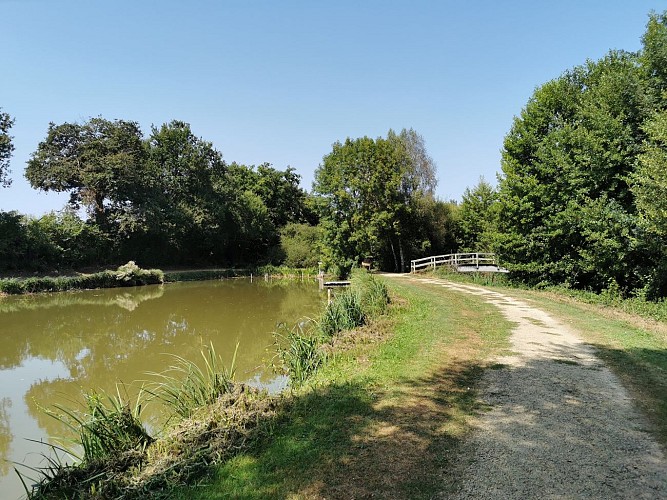 Nieuil-l'Espoir_base de loisirs et zone humide (12)