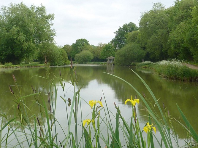 Etang de pêche communal_1