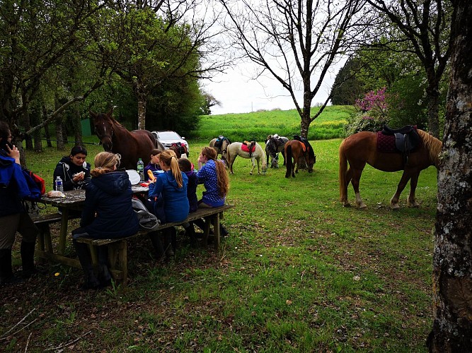 Les Écuries du Moulin de Chaume