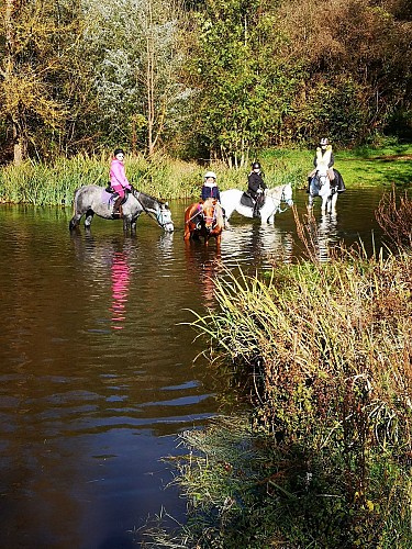 Les Écuries du Moulin de Chaume