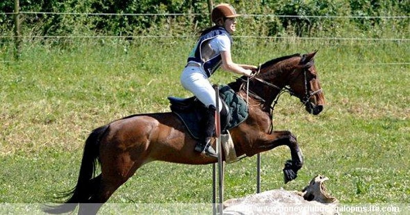 Poney Club des Galopins