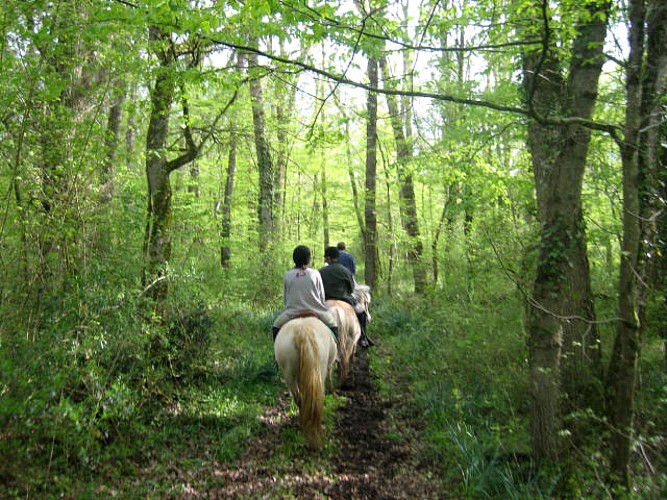 Relais équestre de Villenon