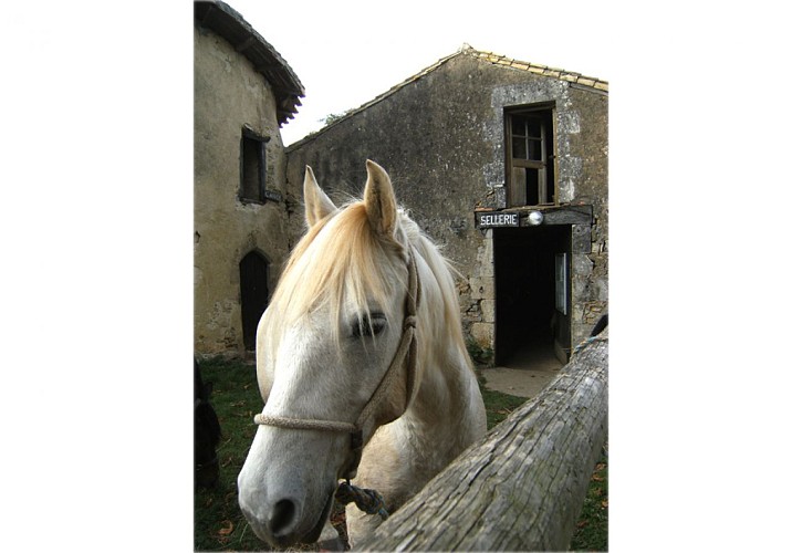 Relais équestre de Villenon