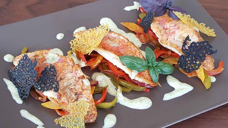 241555308_123670926680716_2381440976891244609_n