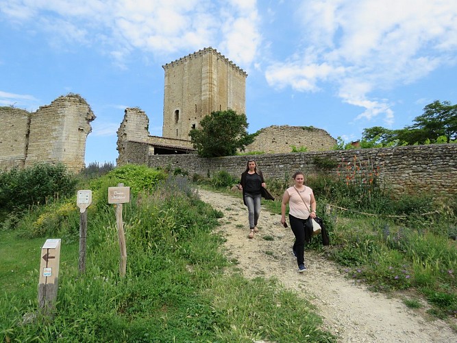 02-Parcours Tèrra Aventura "La Grande Buée"_Moncontour