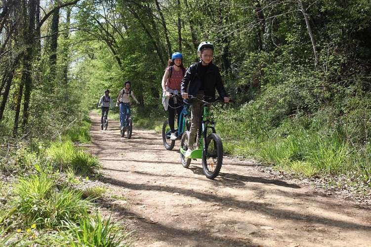 Trottin Poitou, Vouneuil sous Biard (1)-min