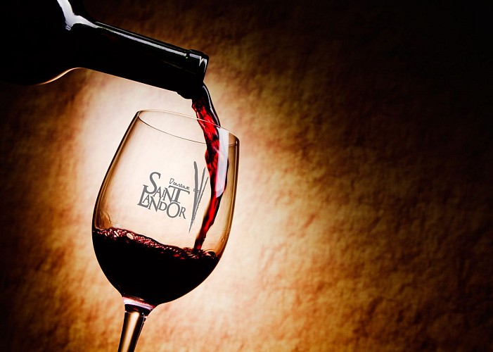 Domaine Saint Landor