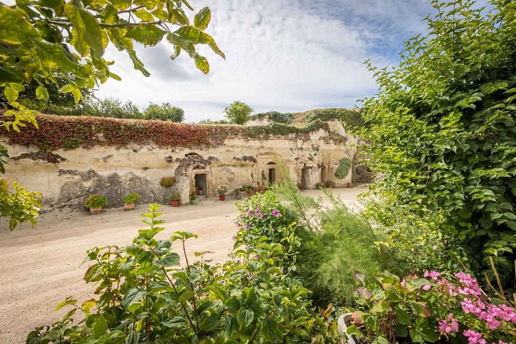 caves-troglodytes-domaine-du-grand-clos-famillerobert-vinsdesaumur-proximite-centerparcs-boisauxdaims