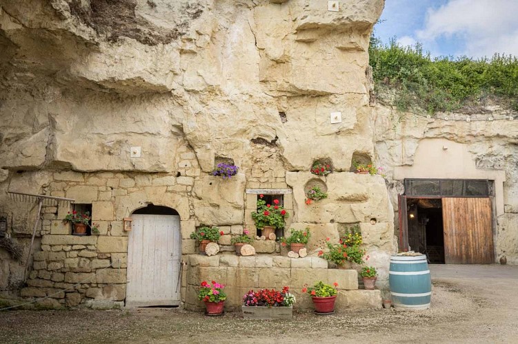 cavestroglodytes-domainedugrandlclosfamillerobert-vinsdesaumur-proximite-centerparcs-vienne