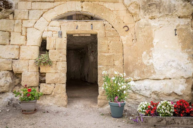 caves-troglodytes-domaine-du-grand-clos-famillerobert-vins-de-saumur-proximite-centerparcs-86