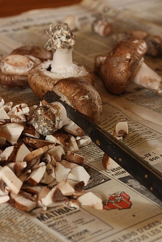 La Champignonnière de Bernazay