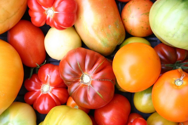 Jardin pédagogique et biologique des Trois Noyers