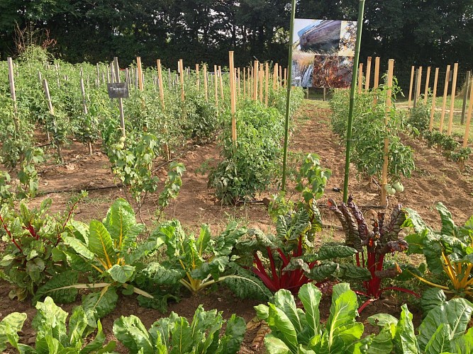 Jardin pédagogique et biologique des Trois Noyers