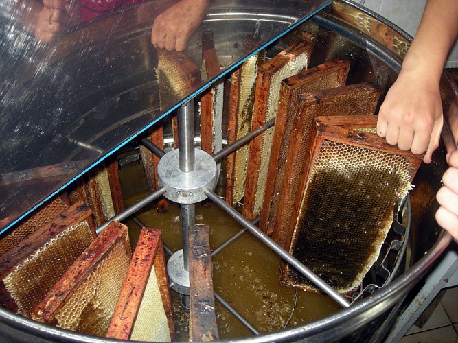 Apiculteur Hervé Villanneau