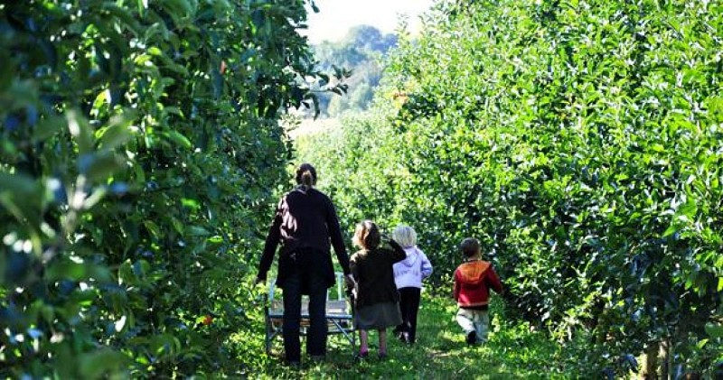 Les Vergers de Chézeau_1