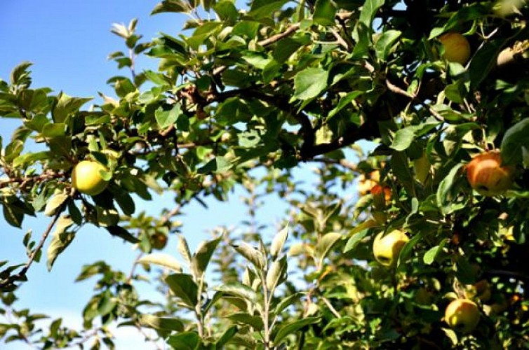 Les Vergers de Chézeau_2