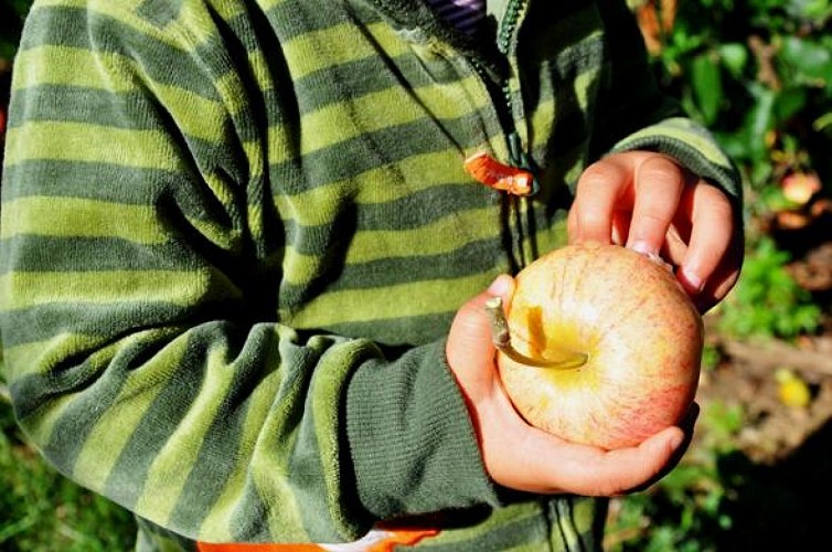 Les Vergers de Chézeau_3