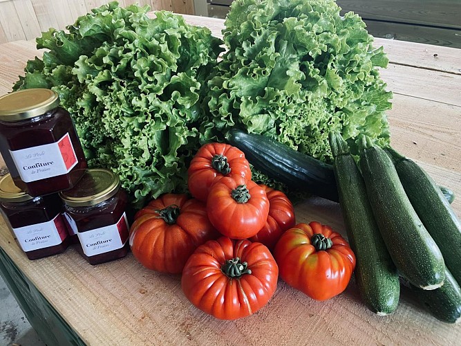 351472424_259290143435410_2740089820384754221_n