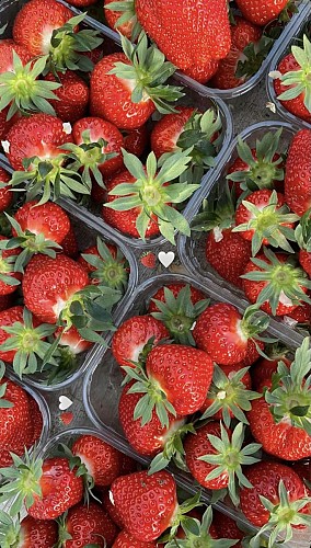 341818939_786475149719972_4525278861873755067_n