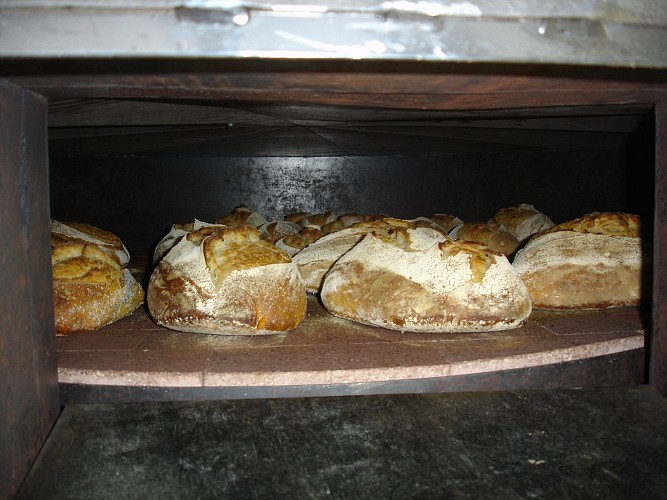 271241213_106628795236469_571762939576190541_n