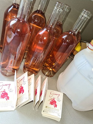 Domaine de la Roussille 3