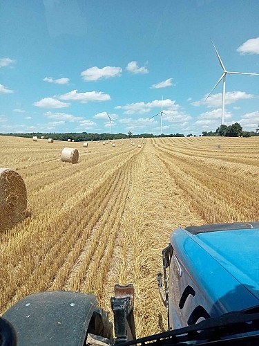 received_796297052225904