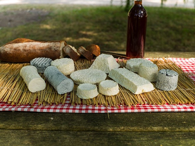 Fromages de chèvres - La C'lait des champs - PLATEAU