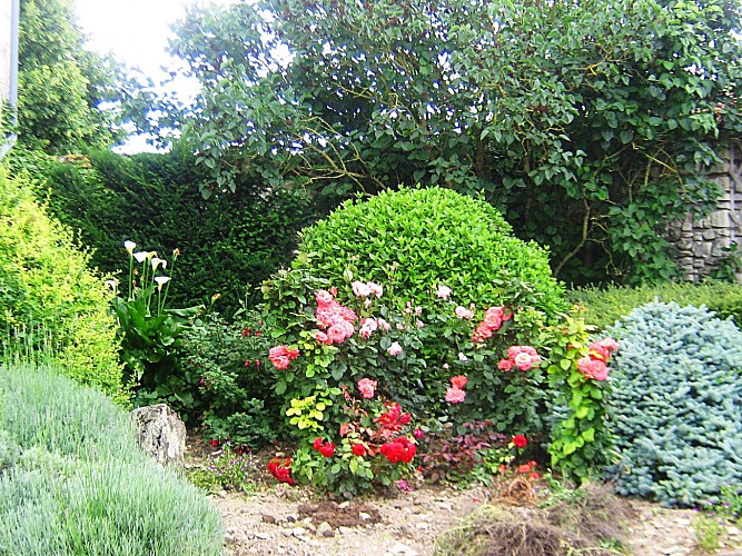 Le Fief du Verger Gazeau_2