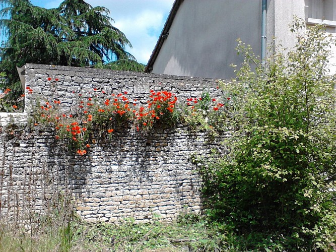 Extérieur - Chambres d'hôtes La Tour des Cavaliers