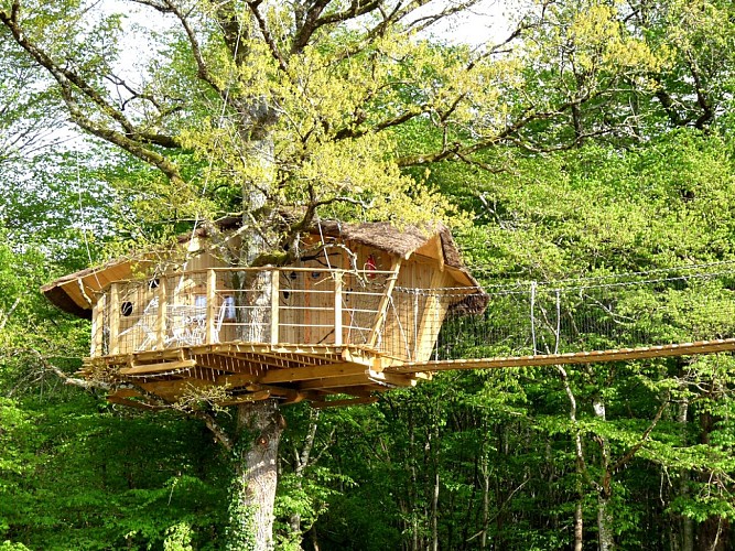 Cabanes et maisons dans les branches - DéfiPlanet' à Dienné_1