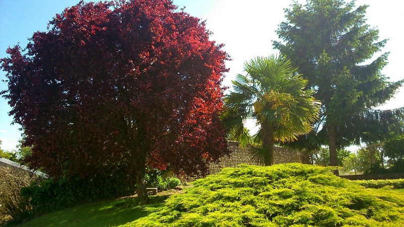 Gîte de la Brissonnière_5