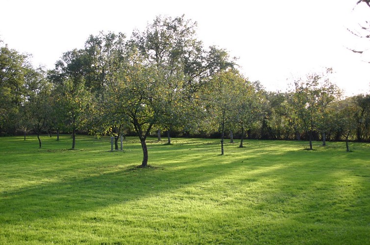 Gites de la Gartempe - La Barlotière