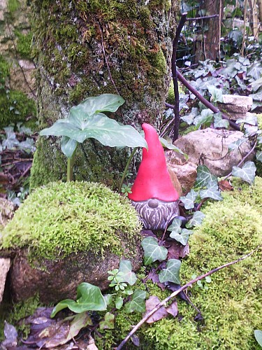 IMG_20190127_121436_7CS